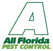 Pest control services in Fort Lauderdale FL