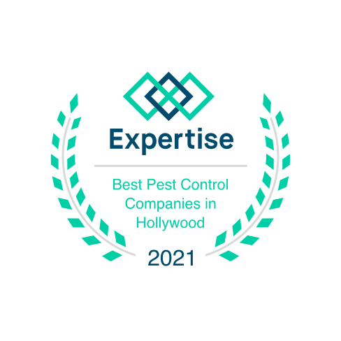 Best Pest Control Company in Hollywood, FL!